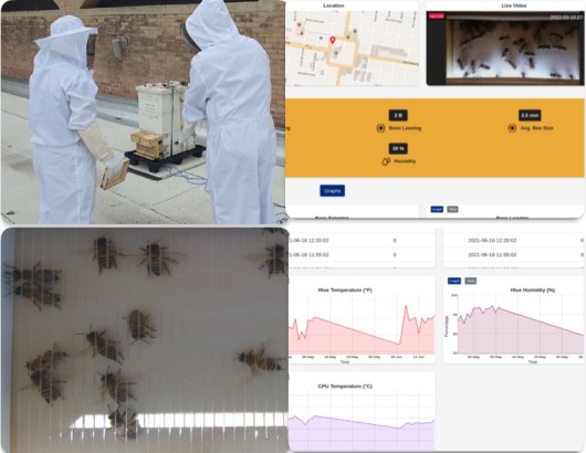 IntelliBeeHive System