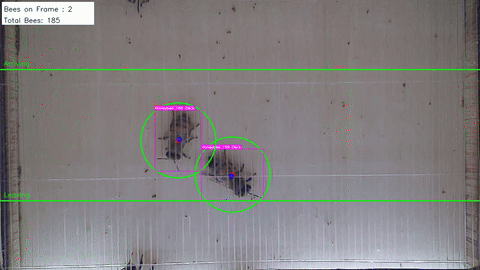 IntelliBeeHive System in action